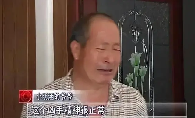 老妇嫉妒杀害男童