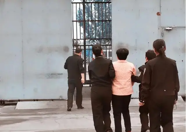 老妇嫉妒杀害男童